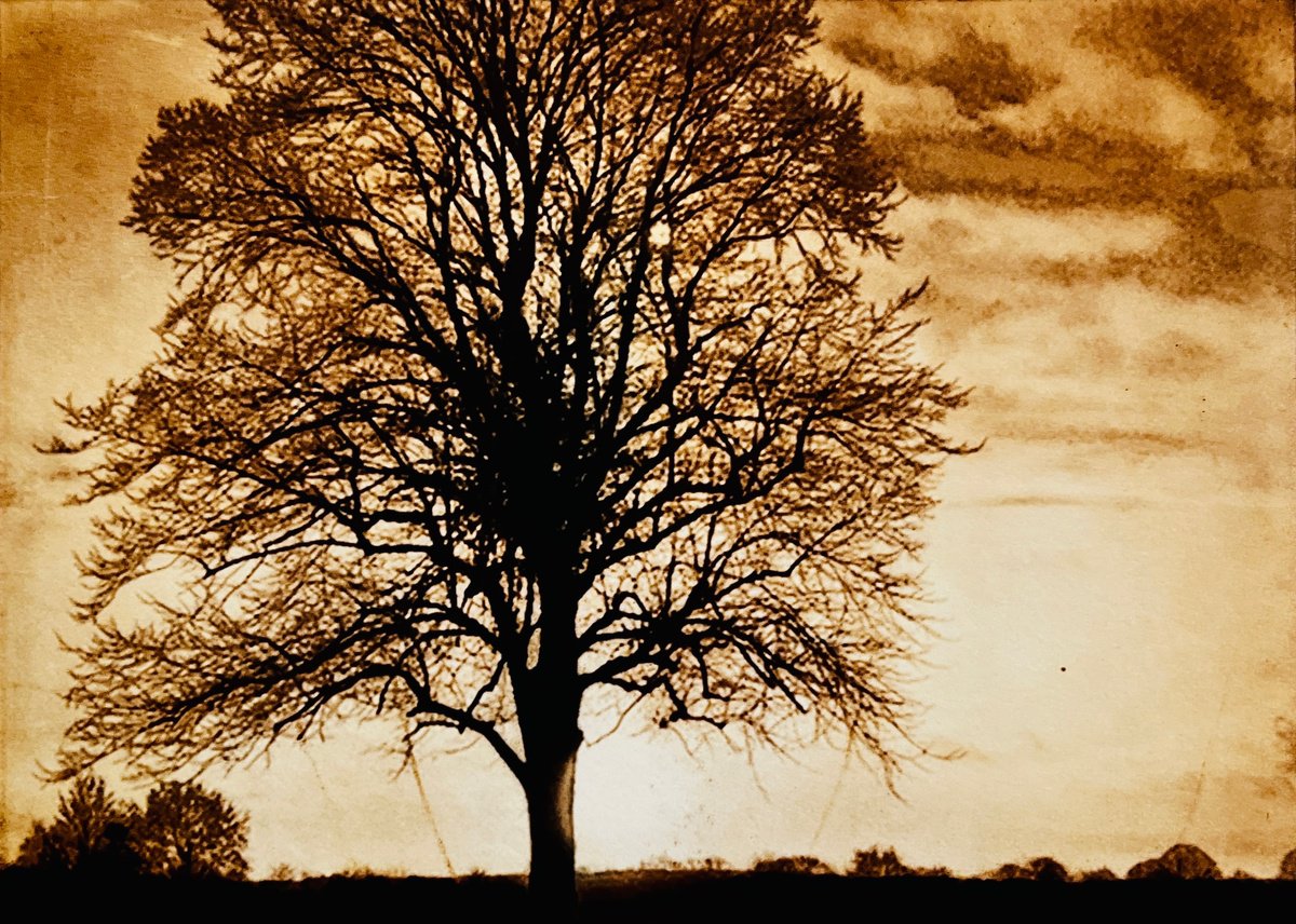 Landscape Etchings & Engravings By Michelle Hinshelwood, 11 X 10", Last Light, Original Artwork