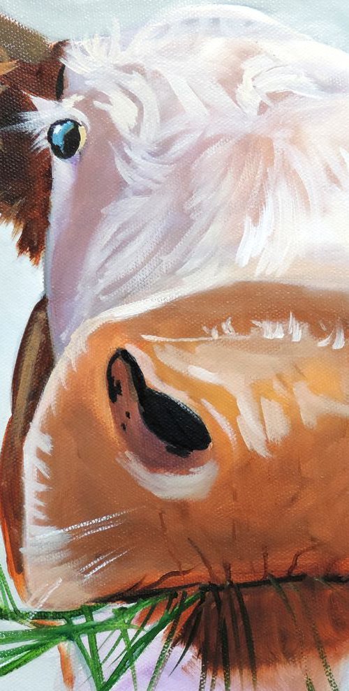 Cow close up by Gordon Bruce
