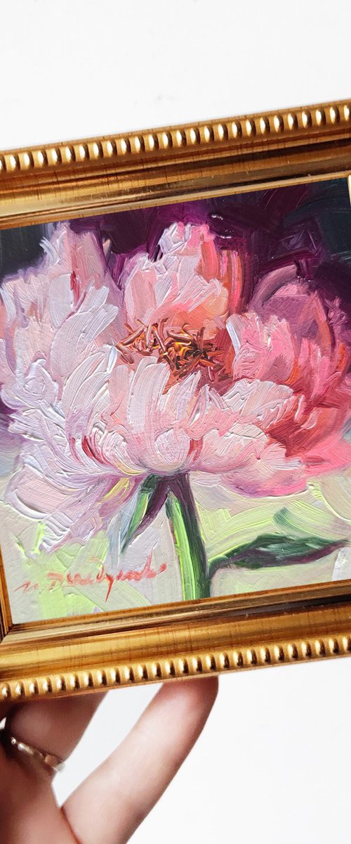 Peony flower by Nataly Derevyanko