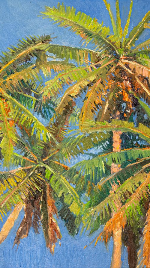 Coconut Palm Trees by Suren Nersisyan