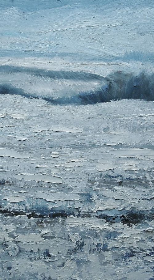 Snow Fields by Nikki Wheeler