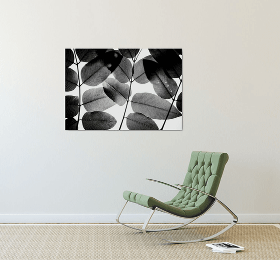 Experiments with Leaves II | Limited Edition Fine Art Print 1 of 10 | 90 x 60 cm