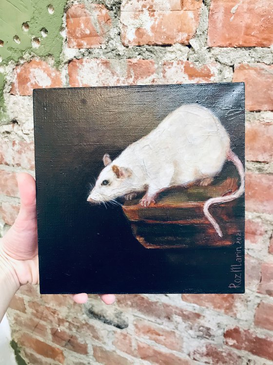 White Rat Animals collection