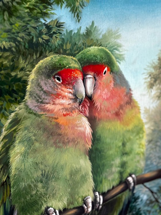 Parrots Agapornis