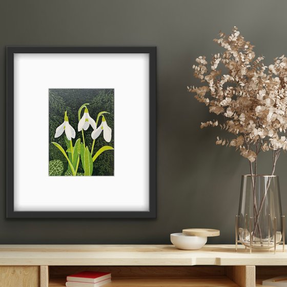 Snowdrops