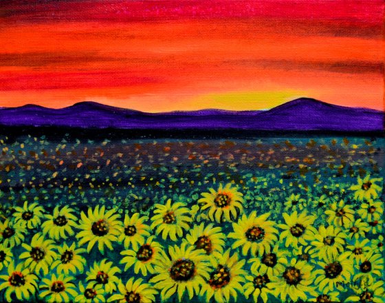 Sunflower fields at sunset landscape