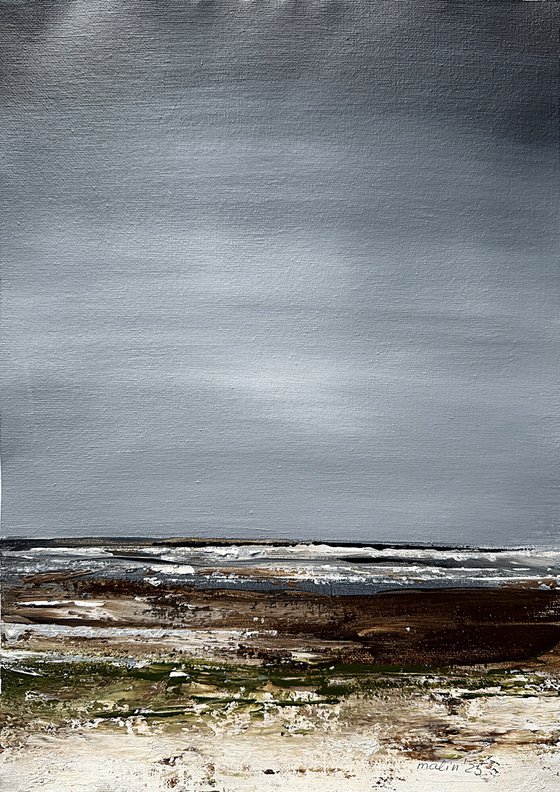 Coastal Fields in Grey Light