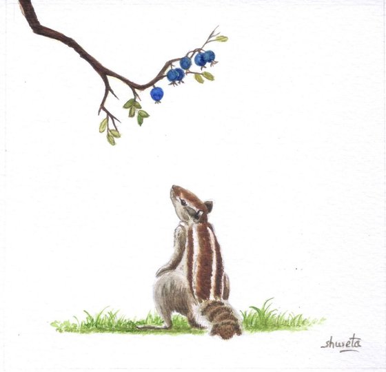 Squirrel and the Blue Berries