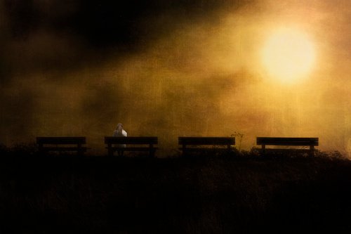 Four Benches and Girl by Martin  Fry