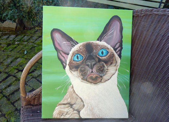 Siamese Cat-Acrylic Gouache-16 x 20 Stretched Canvas-Carla Smale