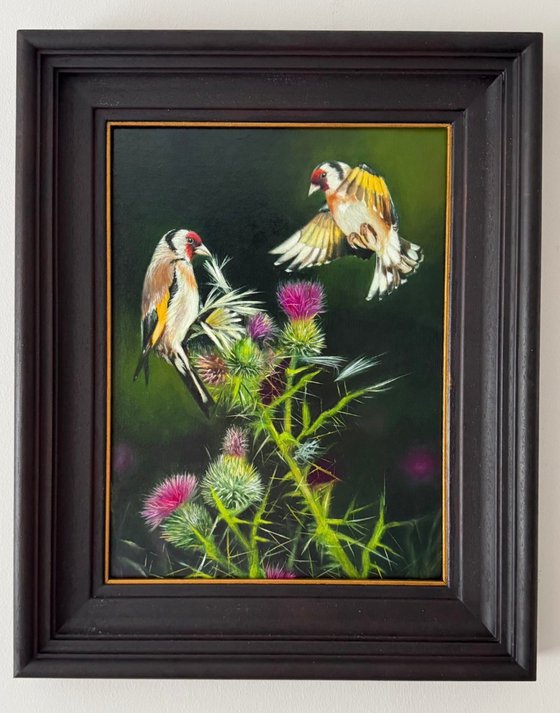 Birds and Thistle