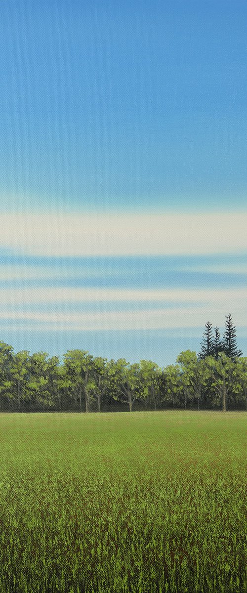 Meadow Grass - Blue Sky Landscape by Suzanne Vaughan