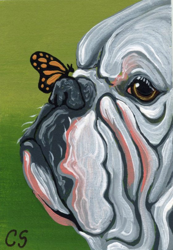 ACEO ATC Original Miniature Painting English Bulldog Butterfly Pet Dog Art-Carla Smale