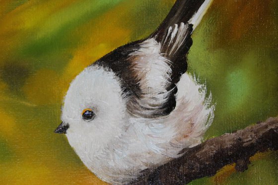 Long-Tailed Tit Bird in Autumn