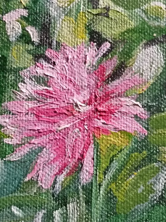 Dahlias flowers 2