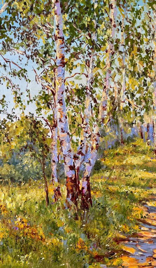 Birch Trees in the Sunshine by Diana Malivani