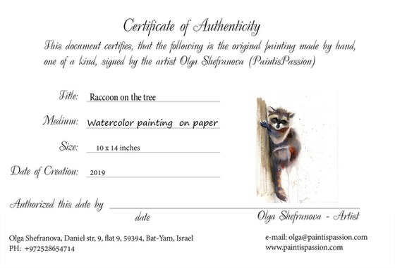 Raccoon on the tree