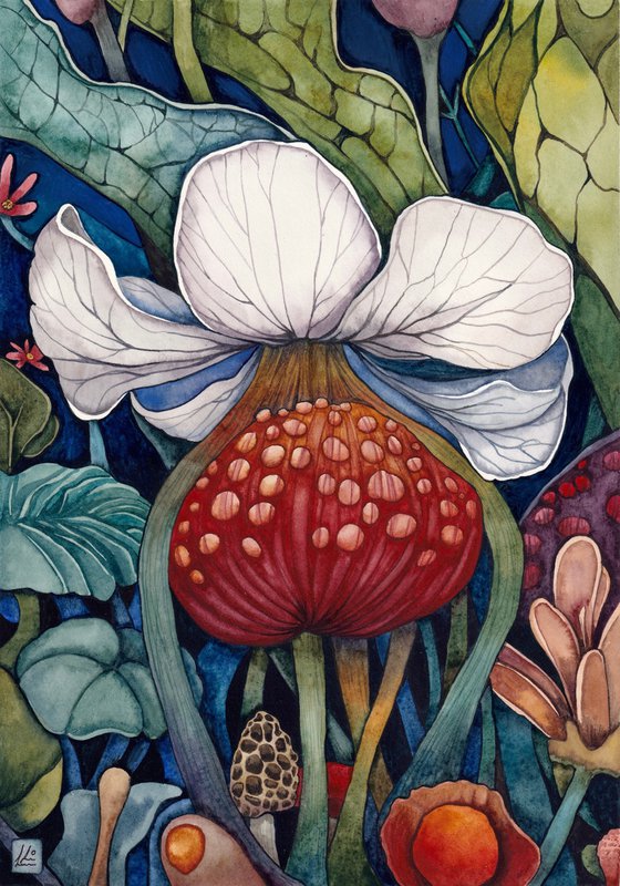 Mushroom Garden 4