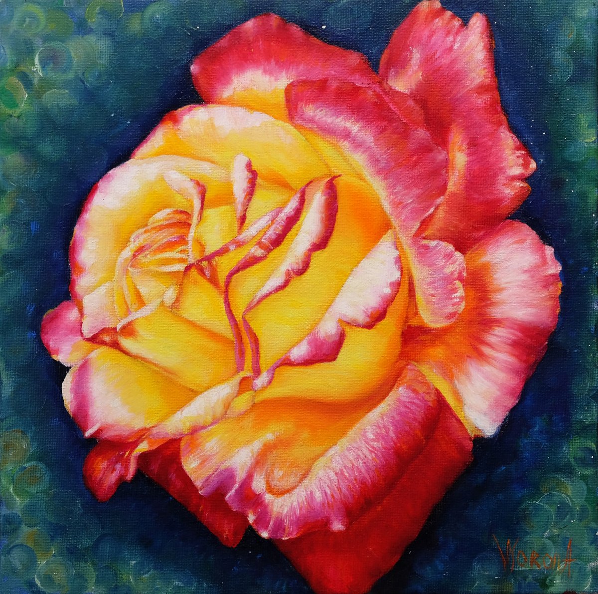 Botanical Oil Painting By Anastasia Woron, 12 X 12, Rose.yellow-Red Rose., Original Artwork