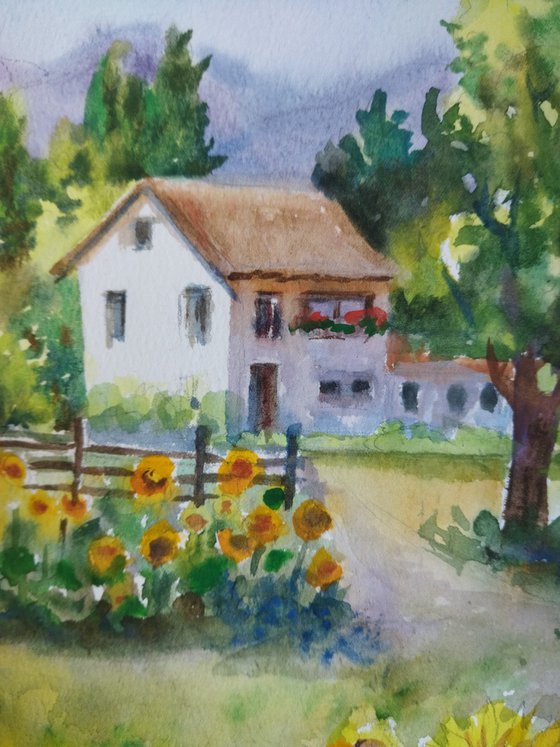 Sunlit Garden