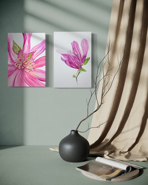 Magnolia