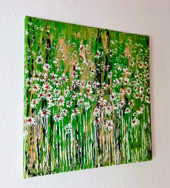 Daisies In The Grass 5
