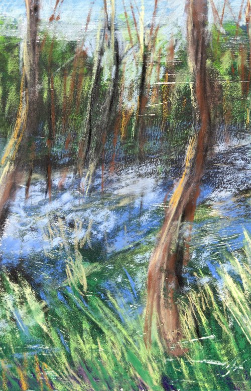 Sea of Bluebells by Elizabeth Anne Fox