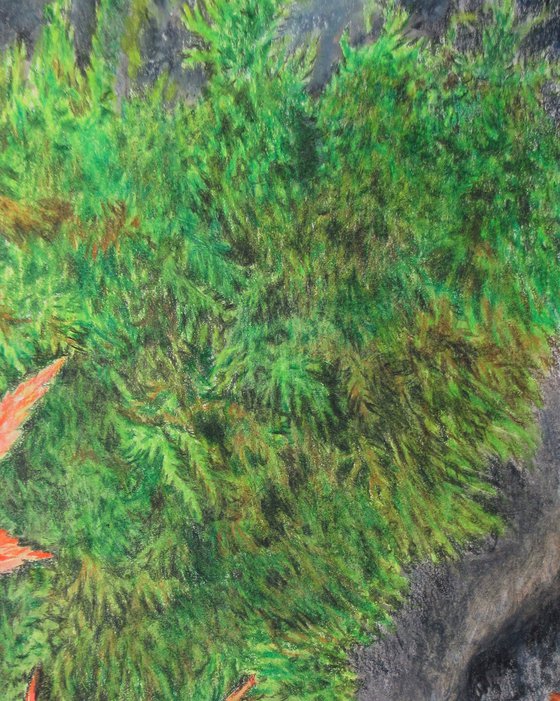 Fallen Leaves On A Mossy Rock