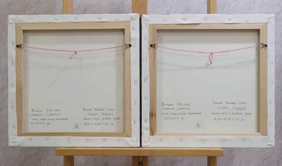 Insight (diptych)