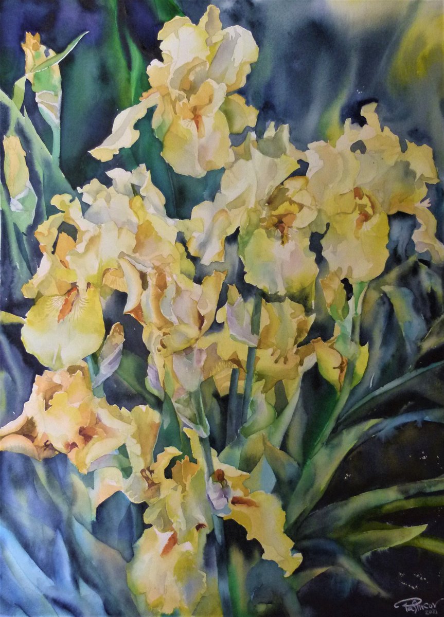 Impressionistic Botanical Watercolour By Yurii Pashkov, 22 X 30", Yellow Irises#2, Original Artwork