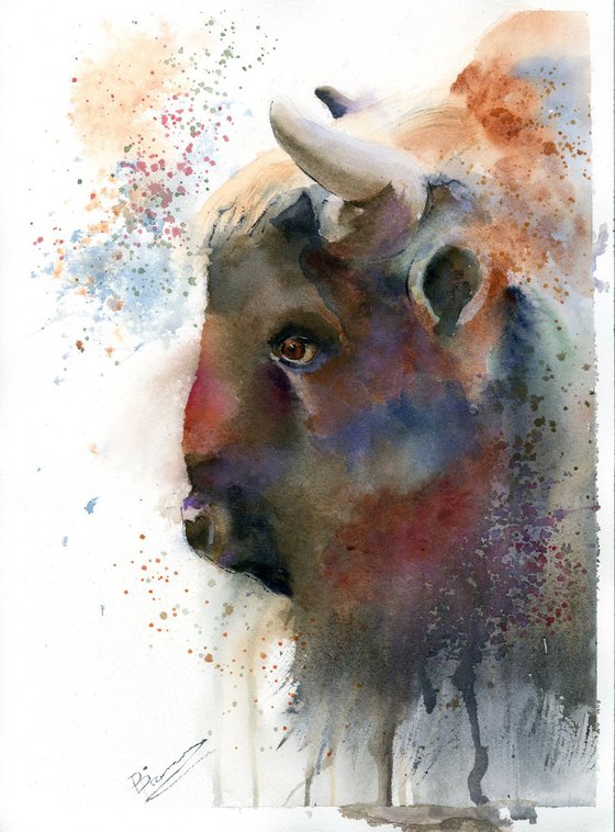 Buffalo portrait