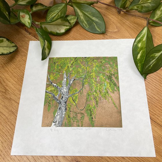 Birch Tree Linocut Print