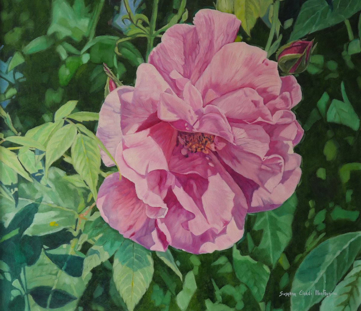 Photorealistic Botanical Oil Painting By Susanna Montagnino, 31 X 28", Rose, Original Artwork