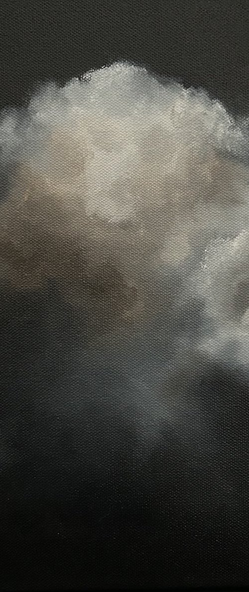 Evening Echo by Meredith B. Studios