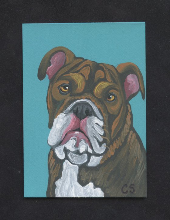 ACEO ATC Original Miniature Painting Olde English Bulldogge Pet Dog Art-Carla Smale