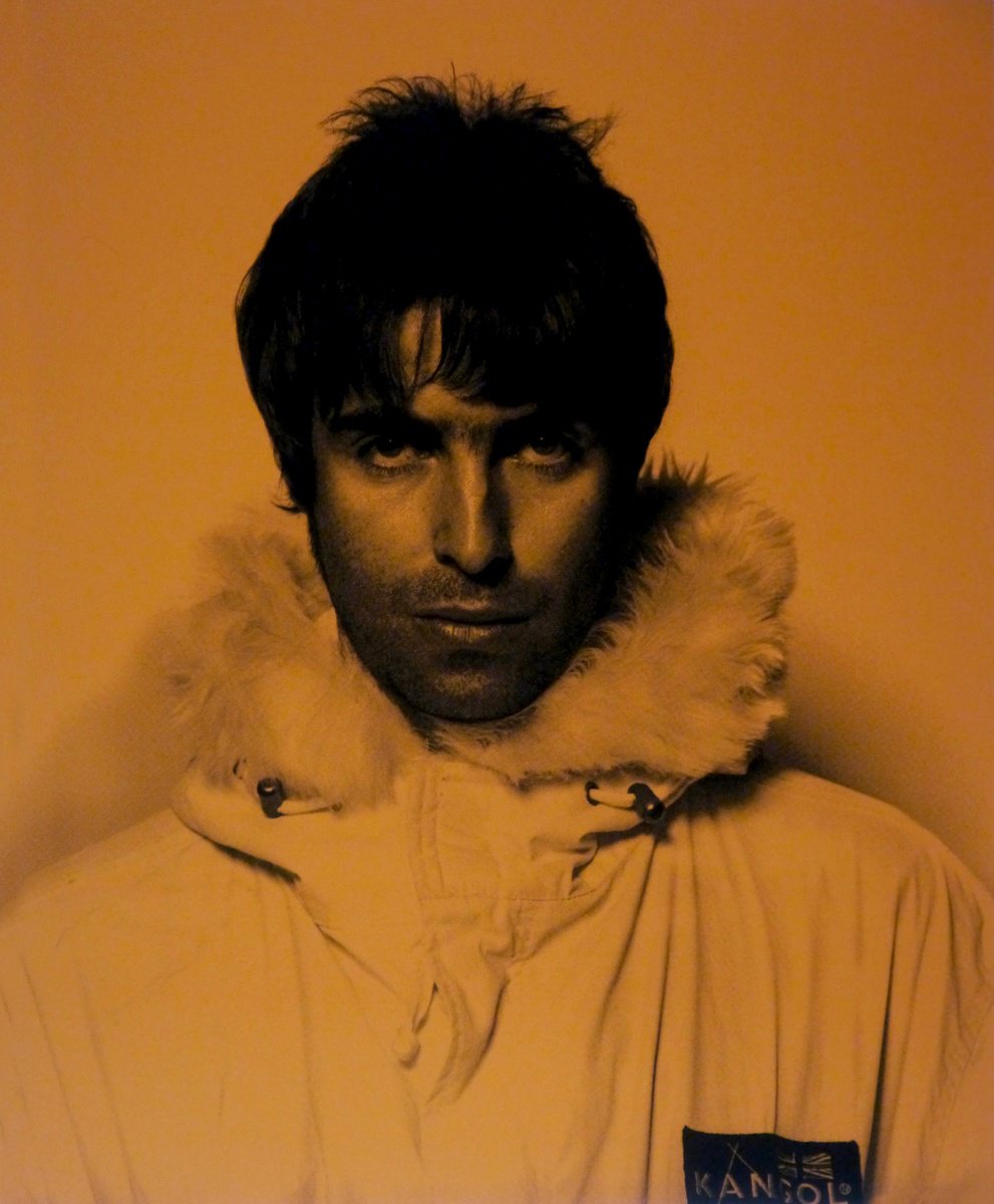 Urban And Pop Portrait Screenprint By David Studwell, 23 X 28, Liam Gallagher-Copper, Original Artwork