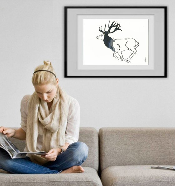 Deer I Animal Drawing