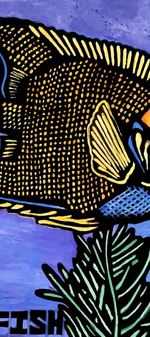 Queen Angelfish by Laurel Macdonald