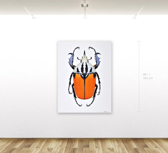 Flower Beetle #1