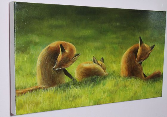 Foxes in the Sun Triptych