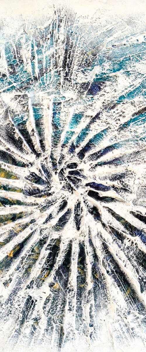 Fossil by Elizabeth McDonough