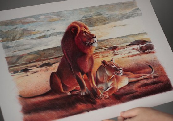 Lions