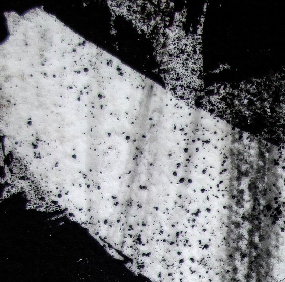 Frozen Pond 6