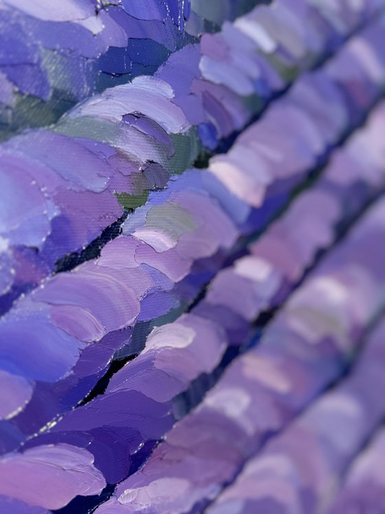 Lavender Dusk