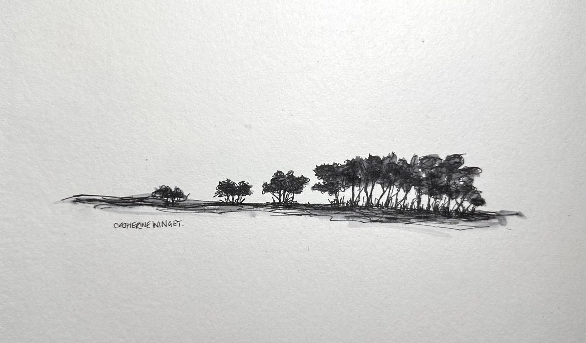 Landscape Ink Drawing By Catherine Winget, 9 X 8, Trees In Pen And Ink - Norfolk Landscape English Countryside, Artfinder