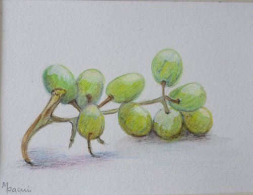 Grapes by Maddalena Pacini