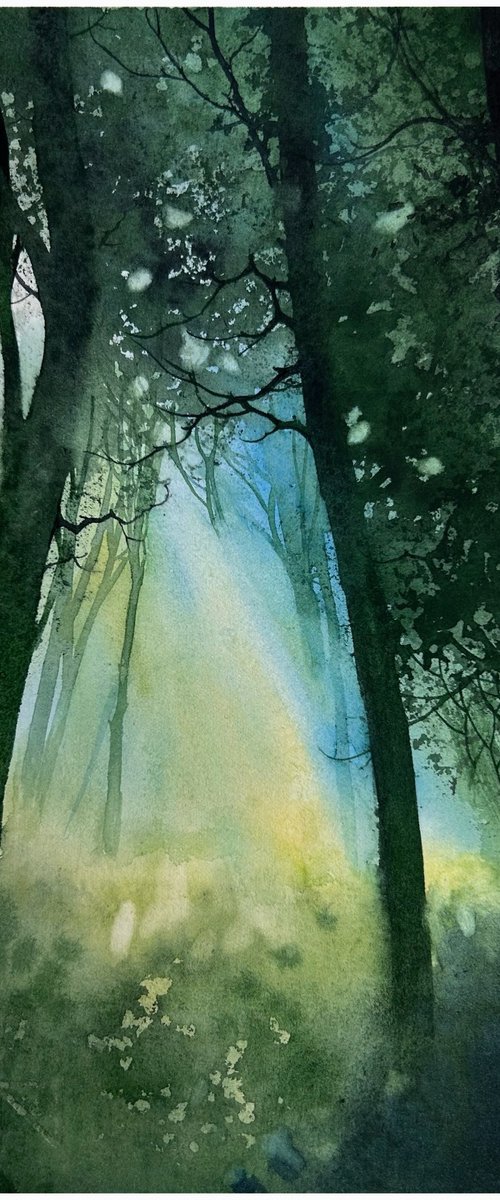 Summer landscape by Nazar Grunyka