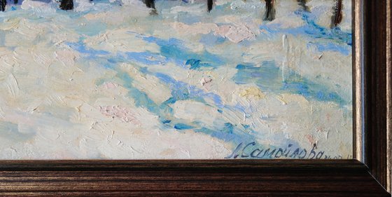 Poplars on a sunny winter day