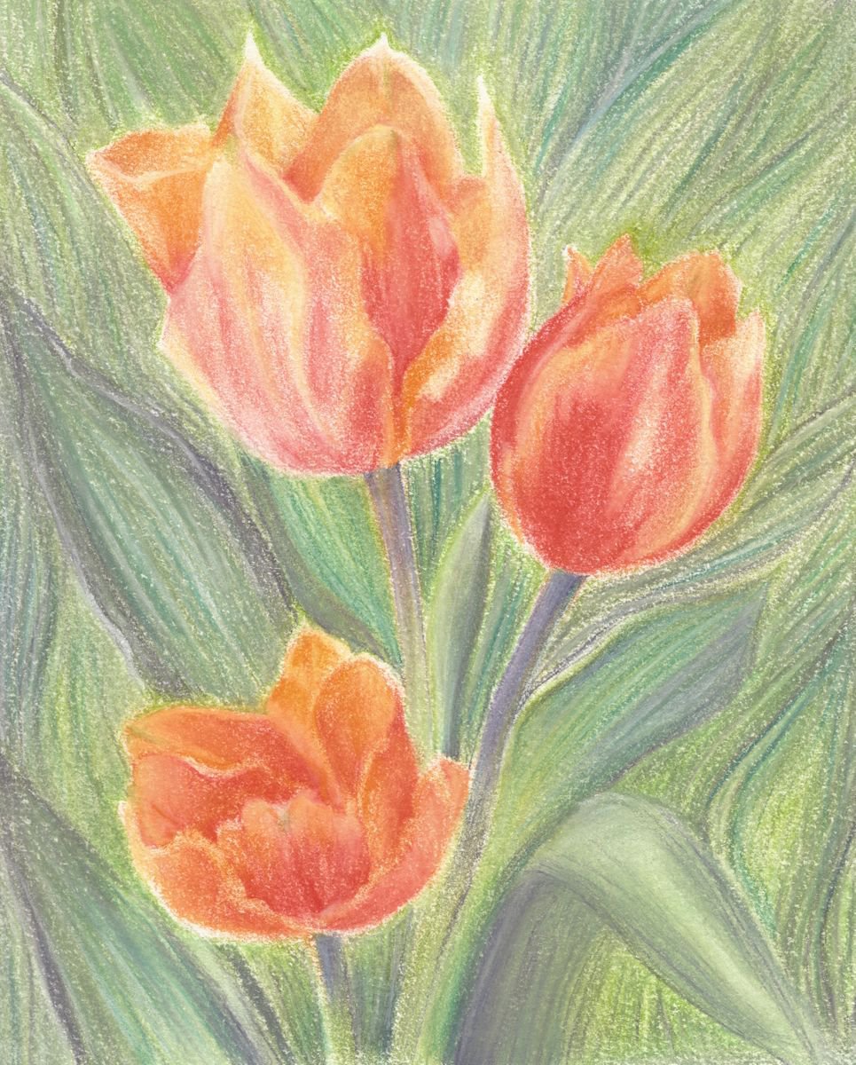 Tulips Pastel Drawing on Paper by Charlotte Williams