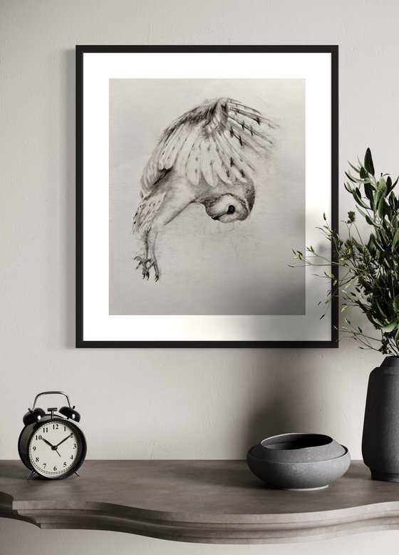 Feathered Hunter, Owl Sketch